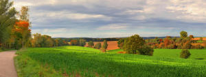 Panoramablick auf die herbstlichen Fluren von Reichertsried und Münsterhausen.