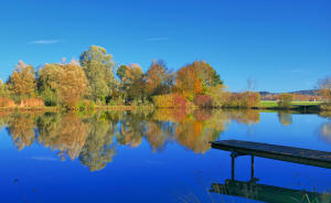 Typisch Herbst - ein Weiher bei Mindelzell.