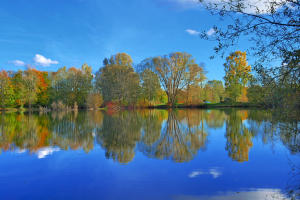 Ein Weiher im Mindeltal - Föhn, windstill, 24 Grad warm - pertfekte Bedingungen zum Fotografieren. (30.10.22.)