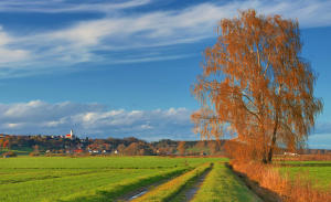 Die Kirche vom Burtenbacher Ortsteil Kemnat  - sie überragt das herbstliche Mindeltal.