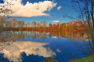 'Still ruht der See' - ein Weiher Im Mindeltal bei Balzhausen.