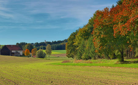 Im herbstlichen Zusamtal - Blick auf Nachstetten, im Hintergrund ist der Kirchturm von Burg zu erkennen.