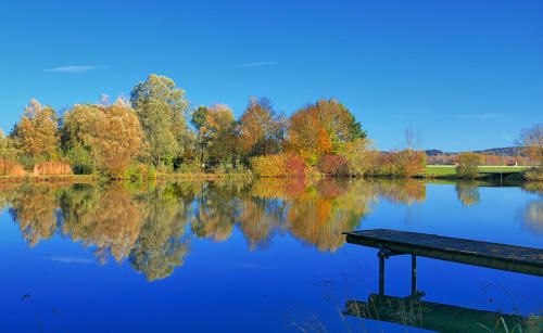 Typisch Herbst - ein Weiher bei Mindelzell.