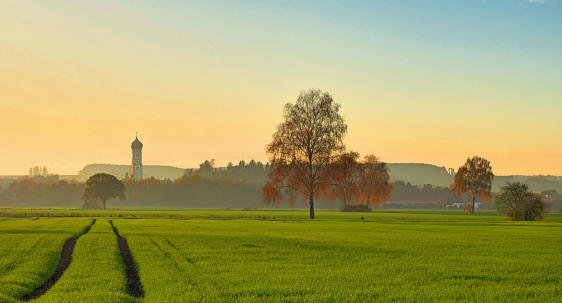 Leichte Novembernebel ziehen auf - im Mindeltal mit Blick auf Ursberg.