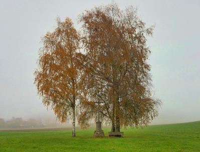 Novembernebel. Ein Flurkreuz südlich von Thannhausen.