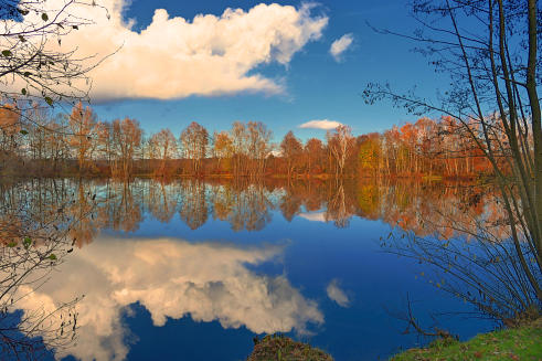 'Still ruht der See' - ein Weiher Im Mindeltal bei Balzhausen.