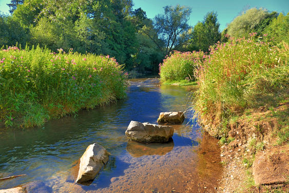 Die Mindel leidet unter Wassermangel - hier ein beliebter Rastplatz für Mensch und Tier am Mindeltalradweg südlich von Thannhausen.(7. August 2022)