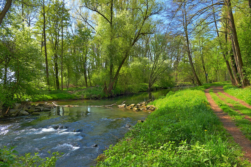 Impressionen vom Mindeltalradweg - Mai 2022