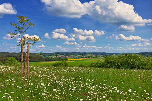 Blick von den Burger Fluren ins Zusamtal.